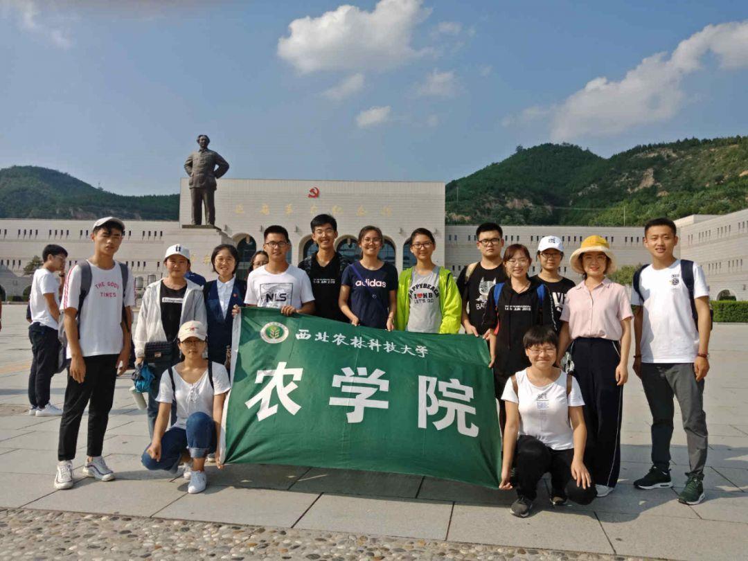独眼萌怪的爱情