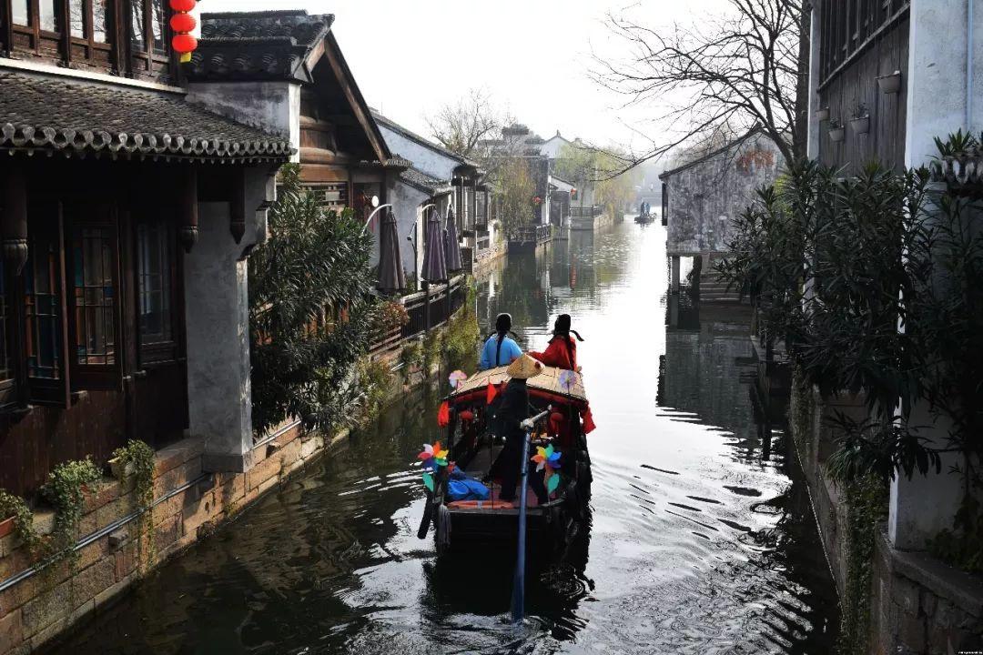 肯尼亚马赛马拉遇大雨天气 狮子抖动鬃毛非常惬意